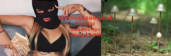 a pvp Богородск