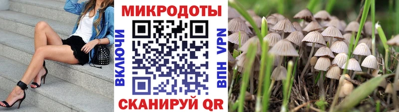 Галлюциногенные грибы Psilocybine cubensis  Беслан 